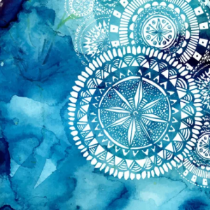 Urban Jungle Fitness