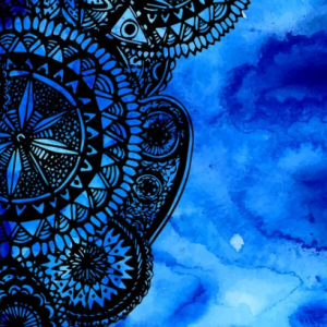 Adaptive Sports Training